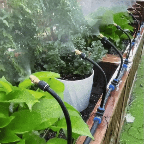 ¡Riega tus Plantas de Forma Eficiente y Ahorra Agua con Este Kit!