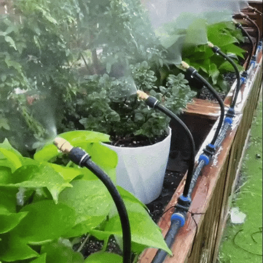 ¡Riega tus Plantas de Forma Eficiente y Ahorra Agua con Este Kit!